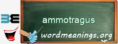 WordMeaning blackboard for ammotragus